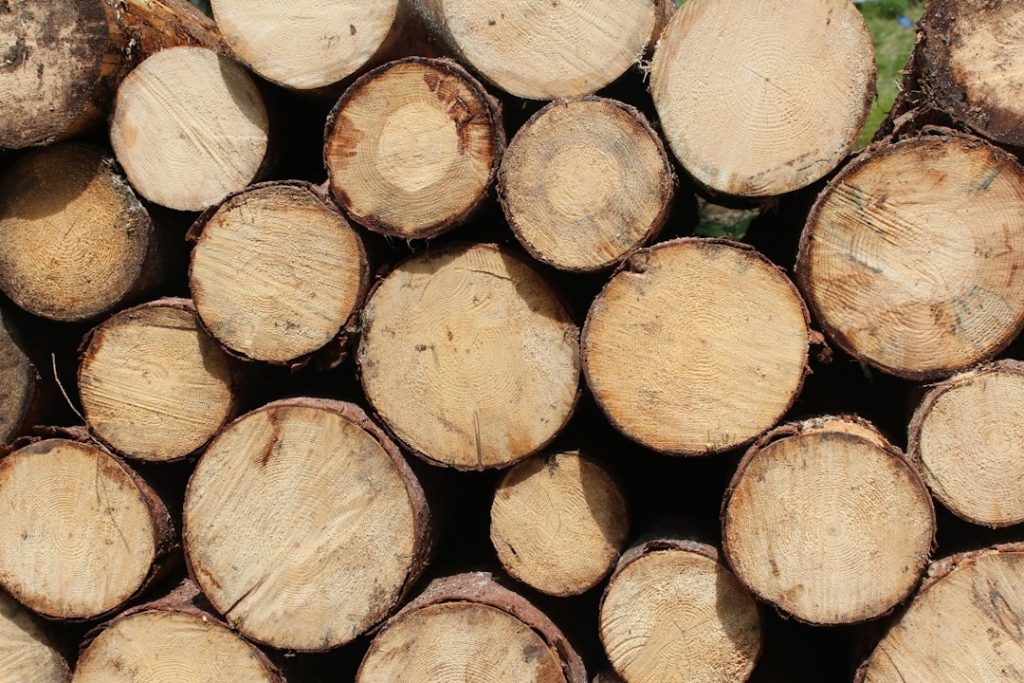 Stacked logs