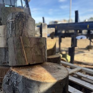 Premium Logs Before Processing